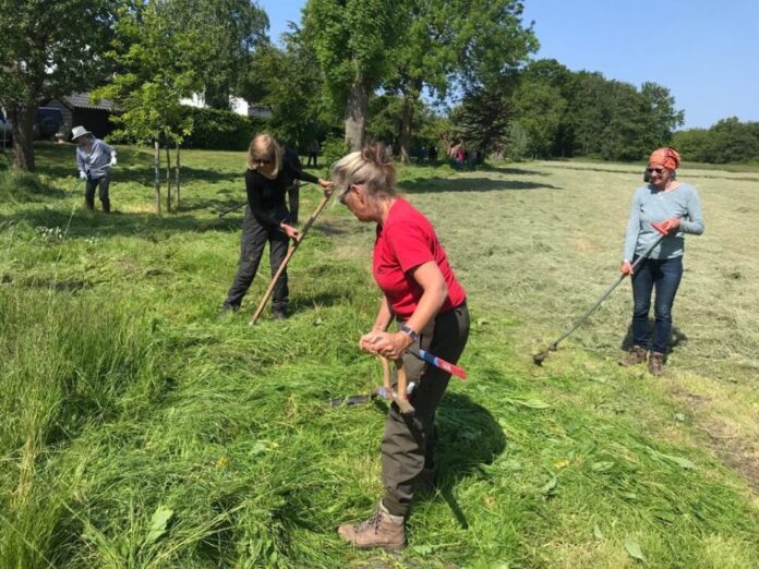 Natuurrijk Ankeveen – Landschap Noord-Holland.