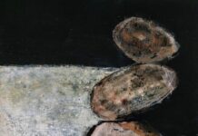 Expositie ‘Structuren in de Natuur’ in de Kloostergangen Finding Balance - Lily van Rosmalen.