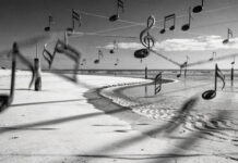 Feestelijke vijfde editie SpringTij festival SpringTij Festival. Ingezonden foto Pletterij.