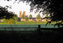 Duinvliet, het duinlandschap van Haarlem