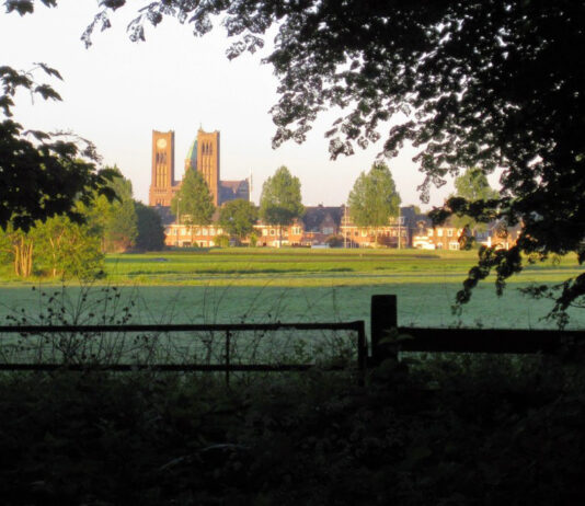 Duinvliet, het duinlandschap van Haarlem