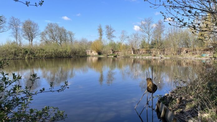Eendenkooi Stokman. Ingezonden foto.