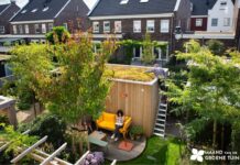 Maand van de Groene Tuin roept Noord-Hollanders op om onkruid te laten staan Maand van de Groene Tuin - Foto Milieu Centraal.