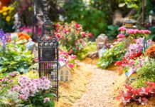 Tuin-trend 2026: Zuid-Holland zweert bij renovatie, terwijl Noord-Holland en Utrecht massaal voor nieuwe aanleg kiezen Photo by Man Chung on Unsplash