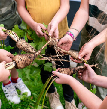 Ruim 2.300 Noord-Hollandse kinderen gaan wroeten tijdens Week van de Schooltuin