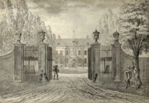 Nieuwe tentoonstelling Living Mesh – A World Beyond Linnaeus – Verwey Museum Haarlem Hendrik Tavenier, De Hartekamp te Heemstede, 1773, tekening op papier, collectie Noord-Hollands Archief