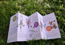 Samen de natuur ontdekken: doe mee aan landelijke Soorten Challenge van Nationaal Park Zuid-Kennemerland Beeld: Nationaal Park Zuid-Kennemerland.