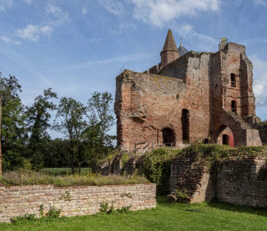 Roofvogels, livemuziek en ridders: deze zomer komt de geschiedenis tot leven bij de Ruïne van Brederode Ruine van Brederode - exterieur 2