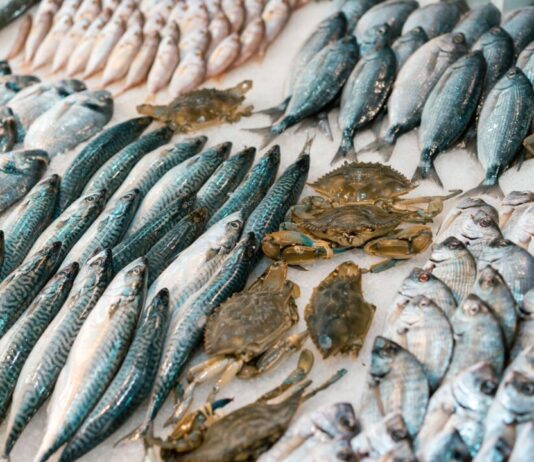 Mosselalarm in Haarlem: Fishbar Monk zet AI-journaal in om het seizoen af te trappen Photo by Atlantic Ambience on Pexels