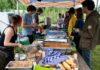 Dansen tussen druiven en courgettes: EcoFest keert terug in verborgen oase aan het Spaarne Ingezonden foto.