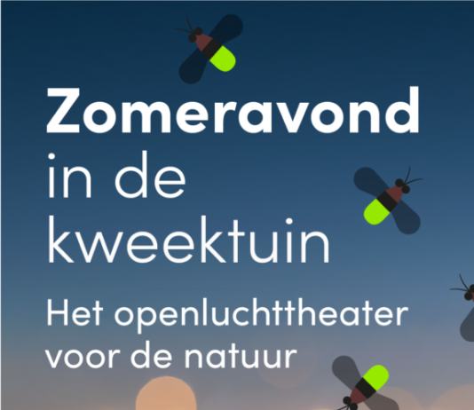 Natuurfilms en picknicken in het groen: inspirerende zomeravonden in de Haarlemmer Kweektuin