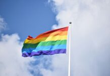 Haarlem kleurt in alle kleuren van de regenboog: vier diversiteit en gelijkwaardigheid tijdens Pride Haarlem Photo by Rob Maxwell on Unsplash