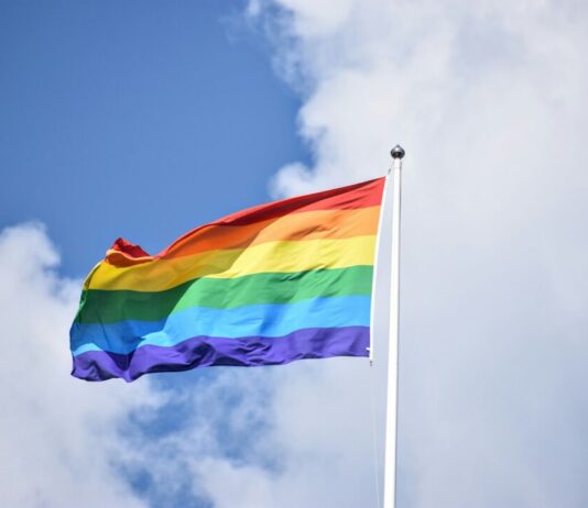 Haarlem kleurt in alle kleuren van de regenboog: vier diversiteit en gelijkwaardigheid tijdens Pride Haarlem Photo by Rob Maxwell on Unsplash
