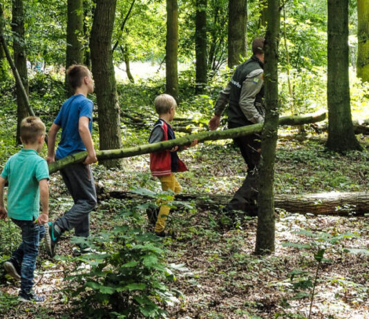 Word een echte survivalexpert: Hutten bouwen en overleven op Buitenplaats Leyduin
