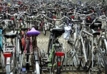 Flinke stijging fietsongevallen in Noord-Holland Afbeelding van Bruno via Pixabay.