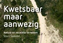 Ontdek de kwetsbare balans tussen mens en natuur in het Zandvoorts Museum