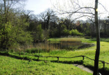 Ontdek verborgen natuurgeheimen tijdens excursie in Thijsse’s Hof Thijsse's Hof. Ingezonden foto IVN Zuid-Kennemerland.