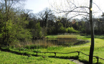 Ontdek verborgen natuurgeheimen tijdens excursie in Thijsse’s Hof Thijsse's Hof. Ingezonden foto IVN Zuid-Kennemerland.