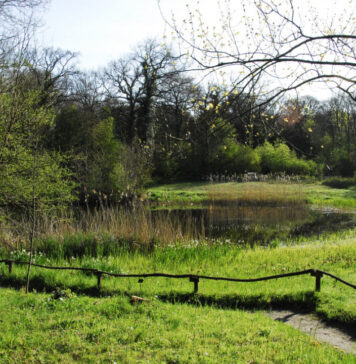 Ontdek verborgen natuurgeheimen tijdens excursie in Thijsse’s Hof Thijsse's Hof. Ingezonden foto IVN Zuid-Kennemerland.