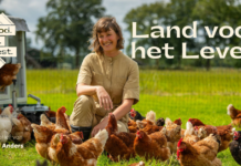 Maand lang films en documentaires over ons voedselsysteem tijdens FOOD.FILM.FEST