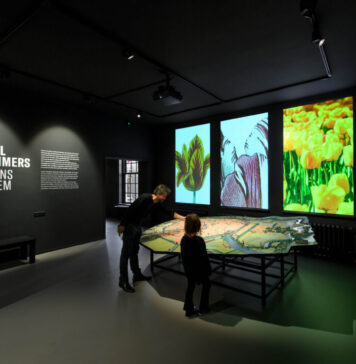 Ontdek de rijke verhalen en kunst van de stad tijdens een rondleiding in het museum