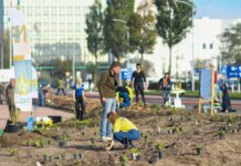IKEA Haarlem transformeert saai grasveld tot levendige inheemse duintuin Foto: Nationaal Park Zuid-Kennemerland.