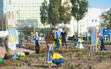 IKEA Haarlem transformeert saai grasveld tot levendige inheemse duintuin Foto: Nationaal Park Zuid-Kennemerland.
