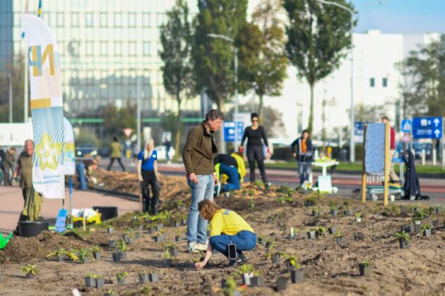 Foto: Nationaal Park Zuid-Kennemerland.