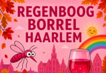 Regenboogborrel viert eerste verjaardag met feestelijke editie in Café de Lange Heer