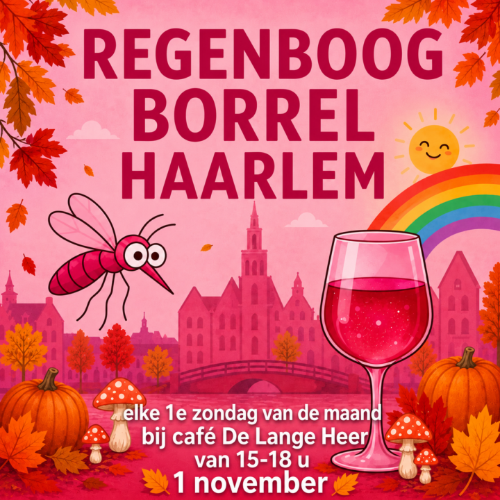 Regenboogborrel viert eerste verjaardag met feestelijke editie in Café de Lange Heer